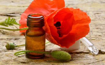 Coquelicot : Définitions, propriétés et bienfaits ?
