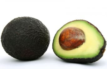 Avocat (persea americana) : fruit ou légume ? Ses bienfaits