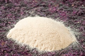 Agar-agar : découvrez les bienfaits de ce gélifiant naturel et comment l'utiliser 