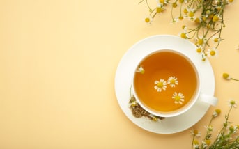 Détox du foie : ces plantes reconnues par la science à adopter absolument