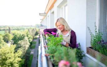 Juin en fleurs : composez un petit coin de paradis sur votre balcon