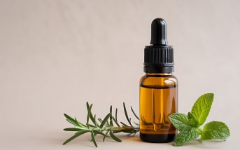 Menthe pouliot (Mentha pulegium) : définition, propriétés et bienfaits