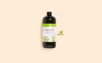 Aloe Vera : un allié apaisant pour le tatouage ?