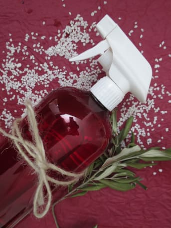 Spray assainissant pour les plantes