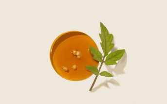 L'olio vegetale di Pomodoro Aroma-Zone