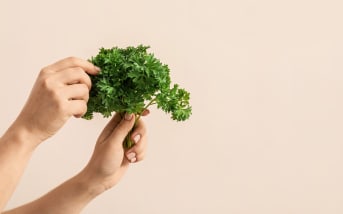 Persil frisé (Petroselinum crispum var. crispum) : définition, propriétés et bienfaits