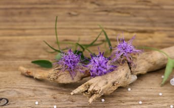 Quels peuvent être les  effets secondaires de l'harpagophytum
