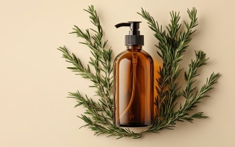 Romarin rampant (Rosmarinus officinalis 'Prostratus') : définition, propriétés et bienfaits