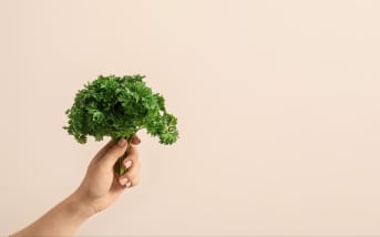 Persil : origines, bienfaits et conseils d'utilisation