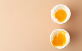 Quels sont les aliments riches en protéines ?