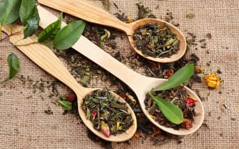 Le thé vert est-il vraiment efficace contre la peau à tendance acnéique ? La réponse risque de vous surprendre