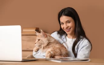 Il fait chaud, votre chat boit dans la piscine ? Attention aux conséquences