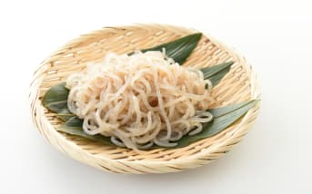 Le Konjac : c’est quoi ?