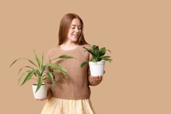 Que faire contre les mauvaises herbes au jardin ?