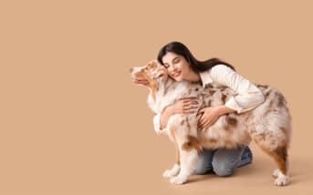 Quels remèdes naturels contre le tartre pour mon chien ?