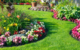 Un jardin impeccable commence ici : dites adieu aux mauvaises herbes