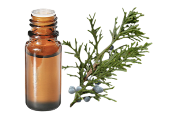 Olio essenziale di Cedro della Virginia