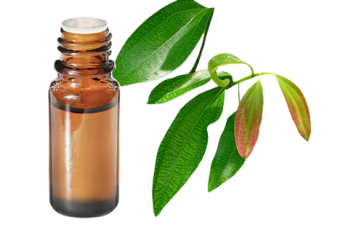 Olio essenziale di Cannella della Cina