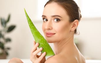 Conservation de l'aloe vera : les bonnes pratiques ?