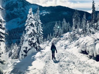 Reconnectez-vous avec la nature : Les bienfaits de la randonnée hivernale