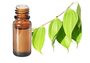 Olio essenziale di Cannella di Ceylon in foglie