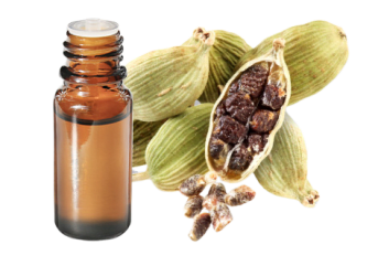 Huile essentielle de Cardamome