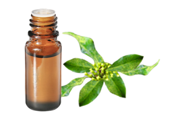 Olio essenziale di Chiodi di garofano in foglie