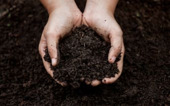 Comment réussir son compost ?