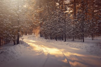 Nos 3 idées de rituel détente à l’approche de l’hiver