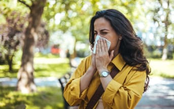 Allergie au pollen :  quels traitements naturels ?