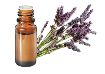 Olio essenziale di Lavanda fine di Provenza