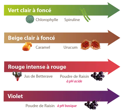 schemas-colorants-01.webp