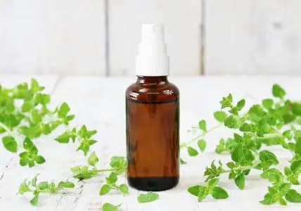 N401704_Spray-voyage-serein-he_web