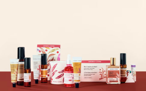 Découvrez la boutique de Noël