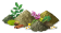 Poudres de plantes 