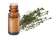 Huile essentielle Thym à thymol