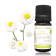 Huile Essentielle de Camomille romaine BIO
