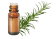 Olio essenziale di Rosmarino verbenone