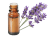 Huile essentielle Lavande vraie de Bulgarie BIO 