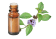Huile essentielle Menthe des champs BIO