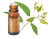 Olio essenziale di Eucalipto mentolato BIO