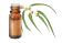 Huile essentielle Cajeput BIO