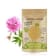 Pivoine