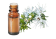 Olio essenziale di Kunzea Kunzea ambigua