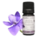 Assoluta di foglia di Violetta