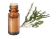 Olio essenziale di Tea tree (Albero del tè)