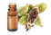 Olio essenziale di Cardamomo BIO