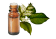 Olio essenziale di Balsamo di Copaiba BIO
