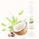 Lait végétal neutre BIO