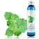 Idrolato di Patchouli selvatico